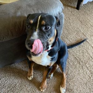 Meet your Posher, Daysha